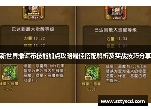 新世界撒谎布技能加点攻略最佳搭配解析及实战技巧分享