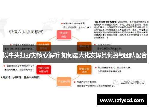 以牛头打野为核心解析 如何最大化发挥其优势与团队配合